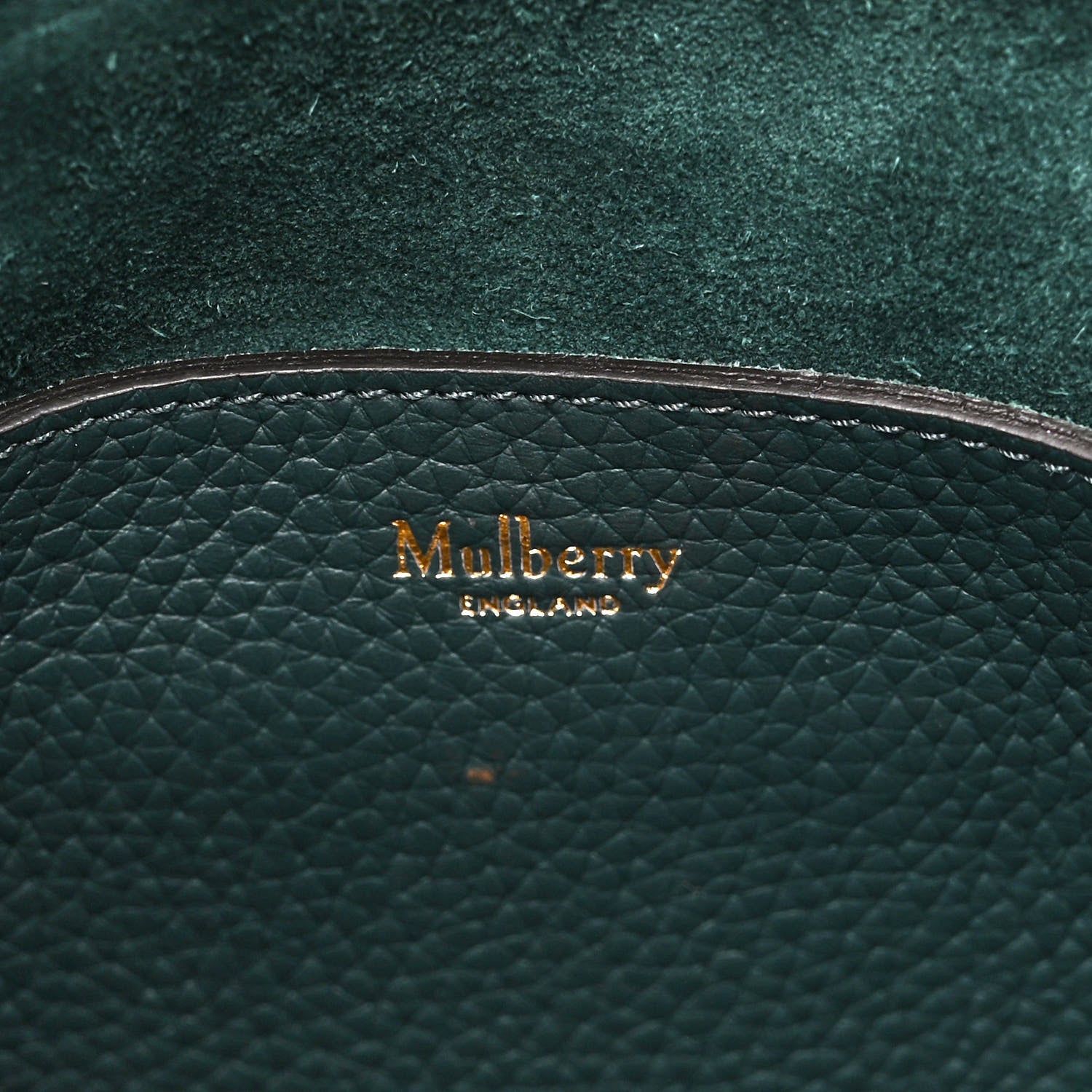 Mulberry Heavy Grain Mini Alexa Green 5 of 8