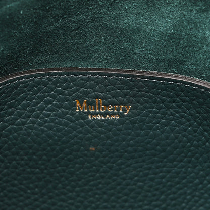 Mulberry Heavy Grain Mini Alexa Green 5 of 8