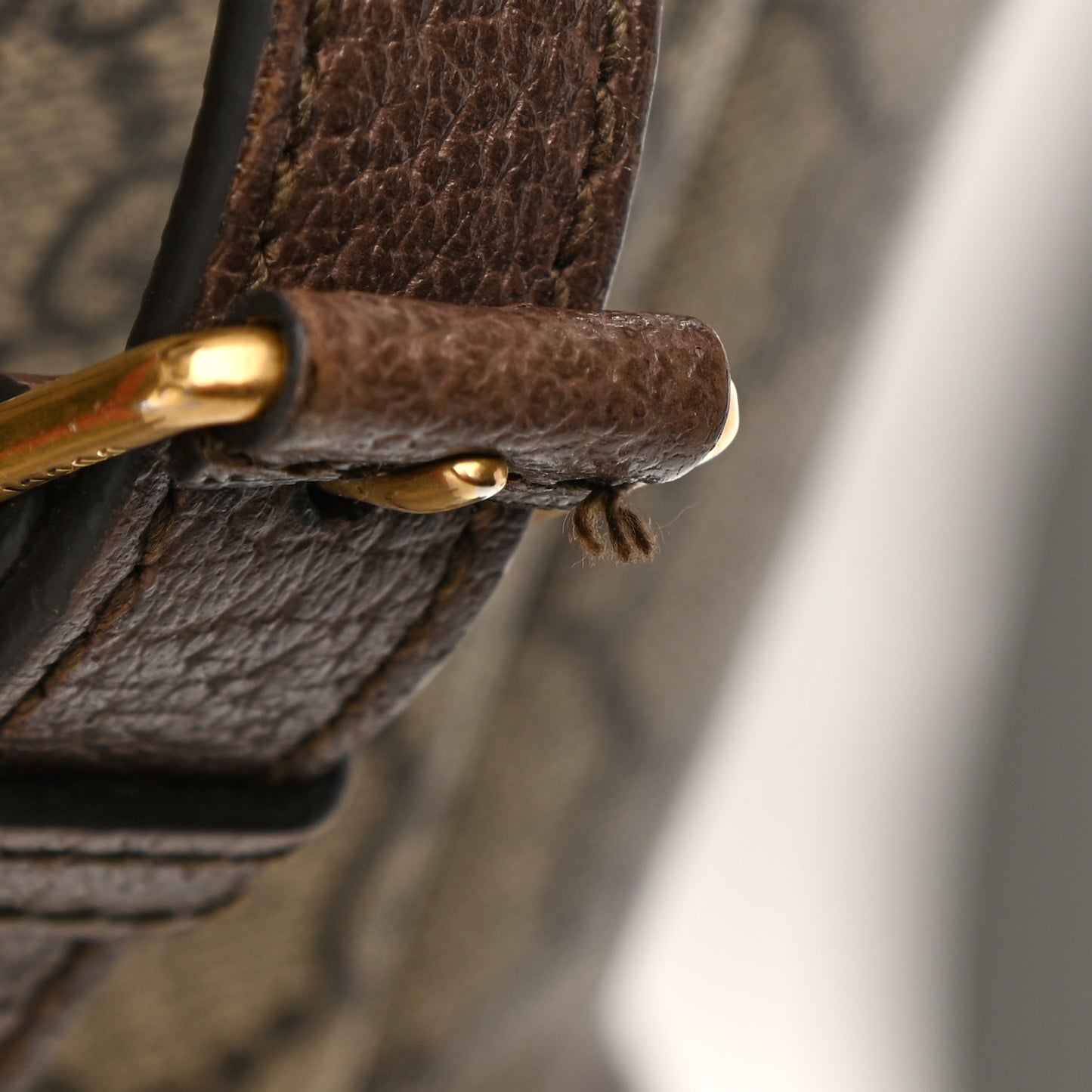 GG Supreme Monogram Medium Ophidia Double Buckle Backpack Brown
