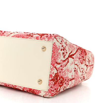 Christian Dior Lambskin Embroidered Floral Toile de Jouy Medium Lady Dior White Red 10 of 11