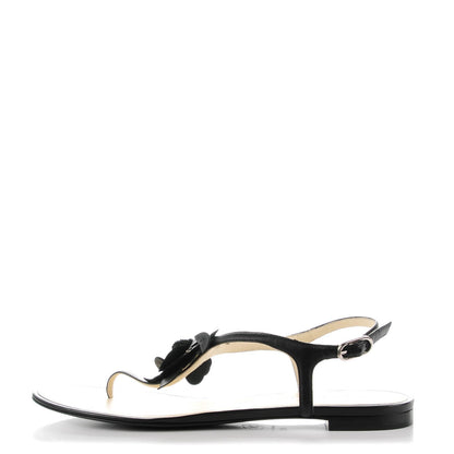 Chanel Lambskin Camellia Thong Sandals 40 Black 1 of 7