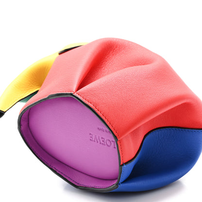 Loewe Calfskin Mini Elephant Crossbody Bag Rainbow Multicolor 8 of 8