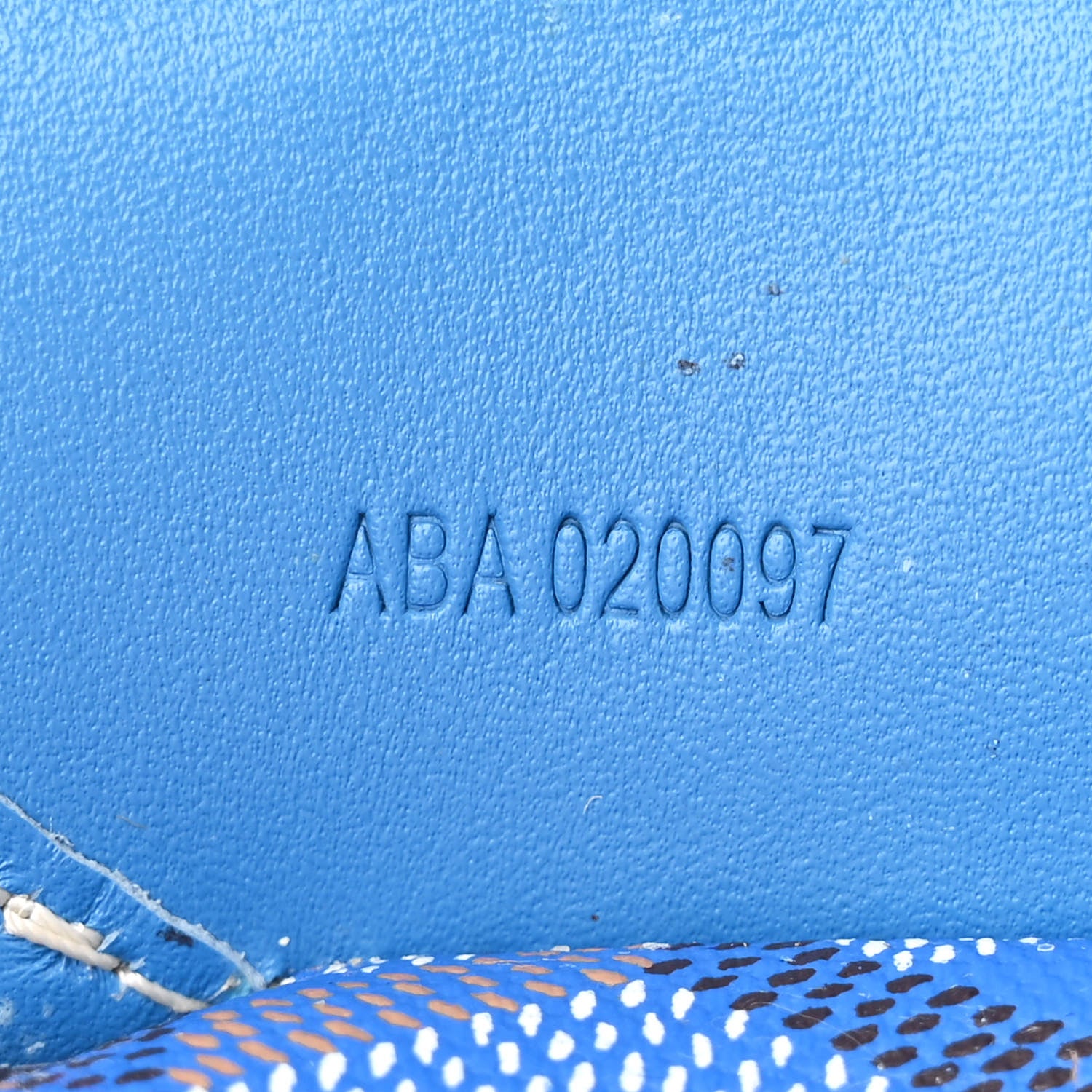 Goyard Goyardine Saint Louis PM Sky Blue 9 of 13
