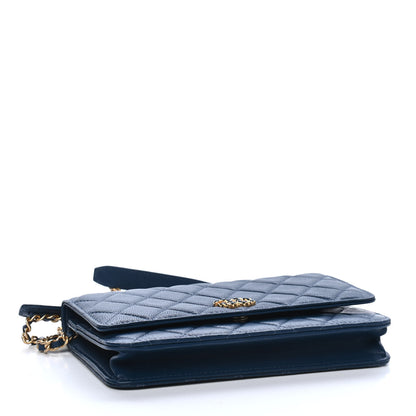Chanel Goatskin Quilted Chanel 19 Wallet On Chain WOC Blue 4 of 10
