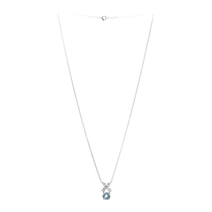 Tiffany Platinum Diamond Aquamarine Victoria Pendant Necklace 3 of 6