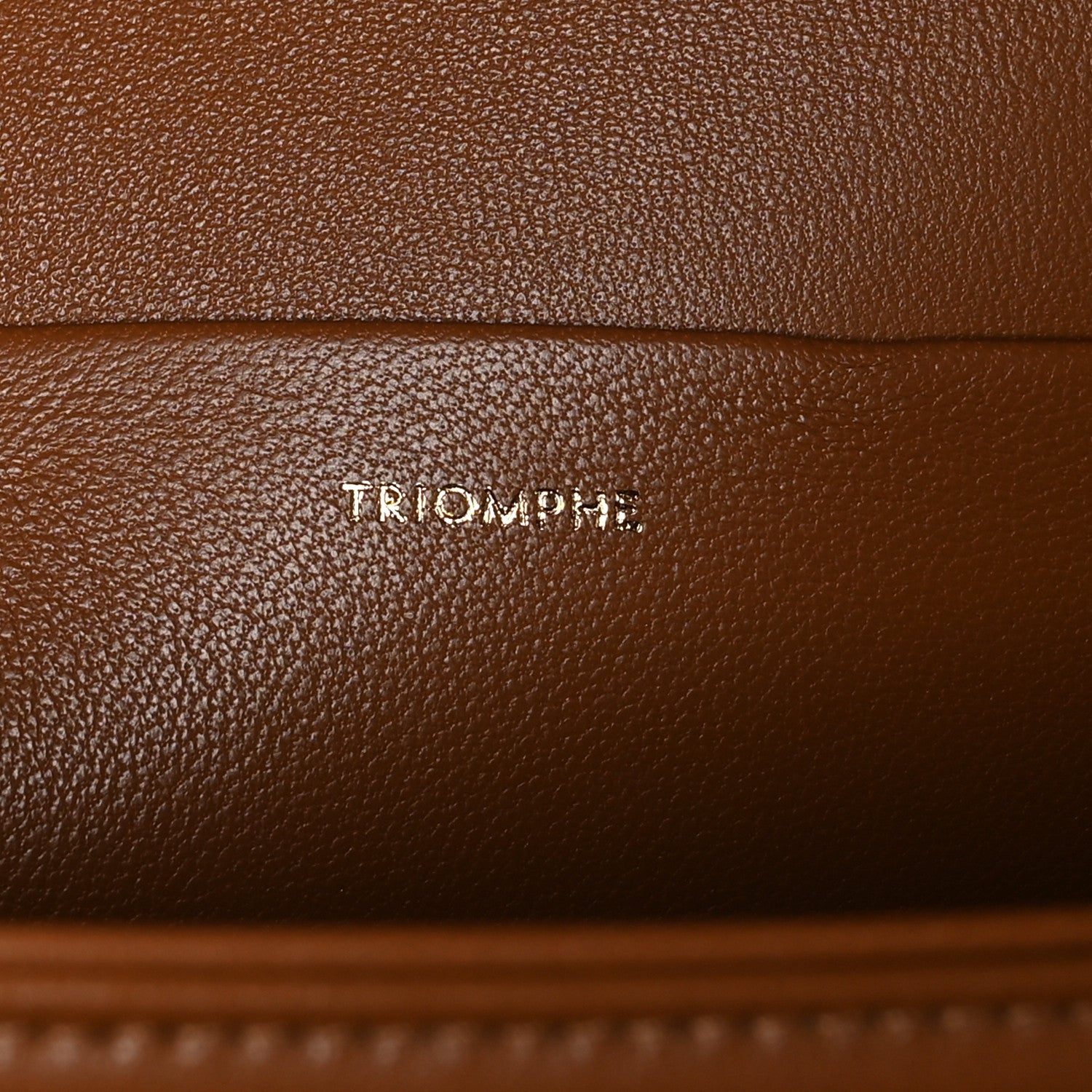 Celine Textile Calfskin Classique Triomphe Bag Natural Tan 6 of 10