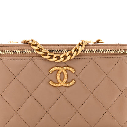 Chanel Lambskin Quilted Small Pillow Crush Vanity Case With Chain Beige 8 of 13
