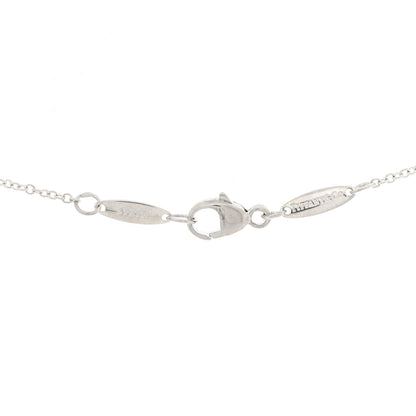 Tiffany Sterling Silver Tsavorite Garnet Elsa Peretti Color by the Yard Pendant Necklace 4 of 5