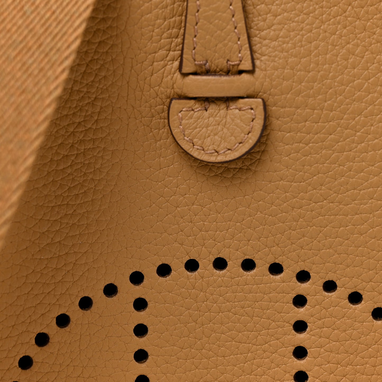 Taurillon Clemence Evelyne TPM Biscuit
