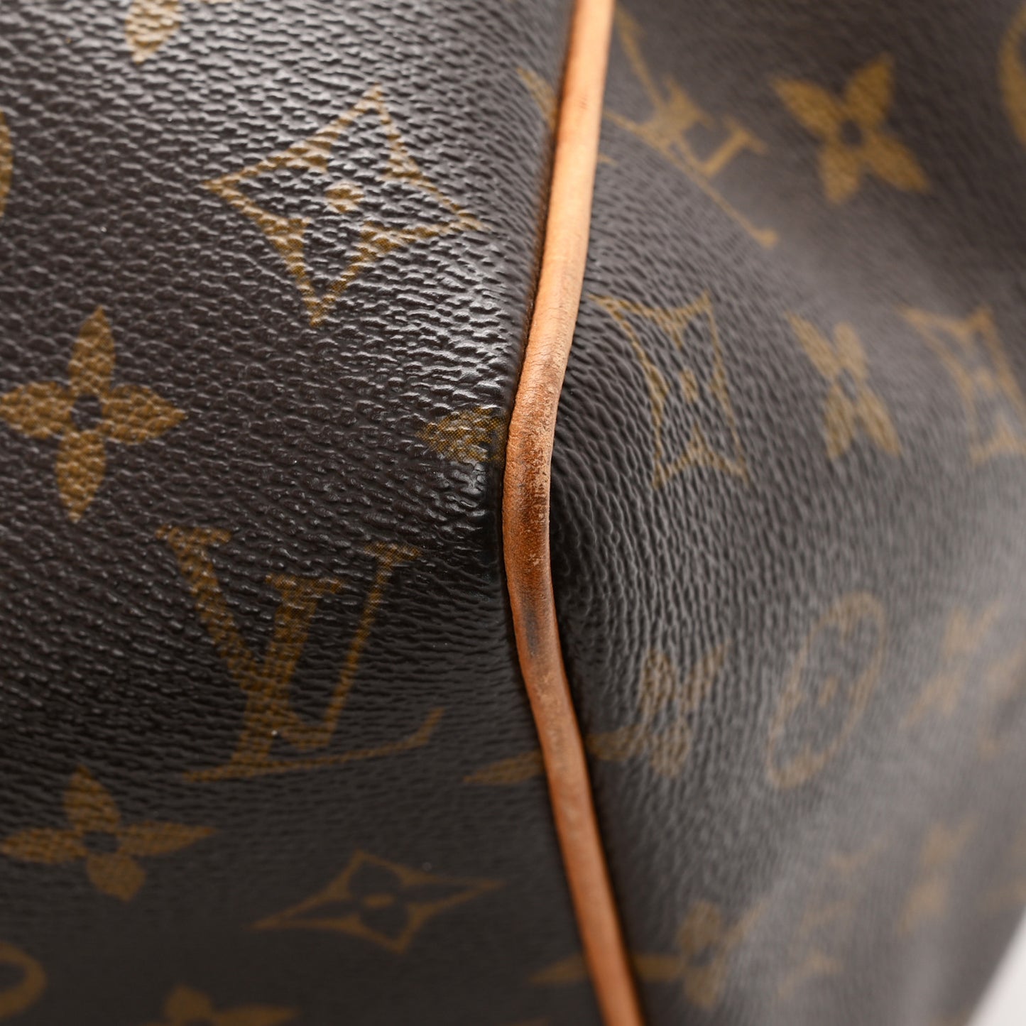 Monogram Sofia Coppola Speedy
