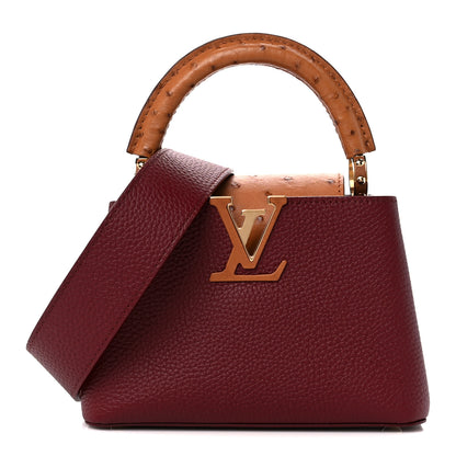 Louis Vuitton Taurillon Ostrich Mini Capucines Griotte Red Honey 1 of 9