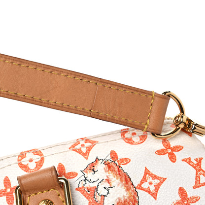 Louis Vuitton Catogram Speedy Bandouliere 30 17 of 17