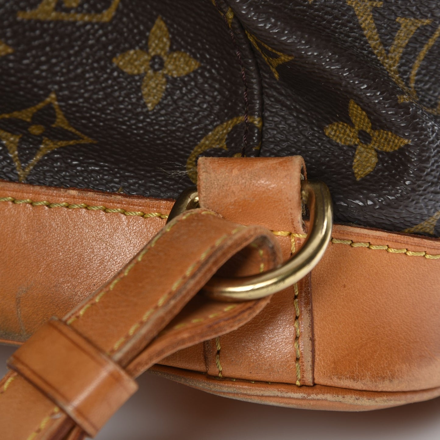 Monogram Montsouris GM Backpack