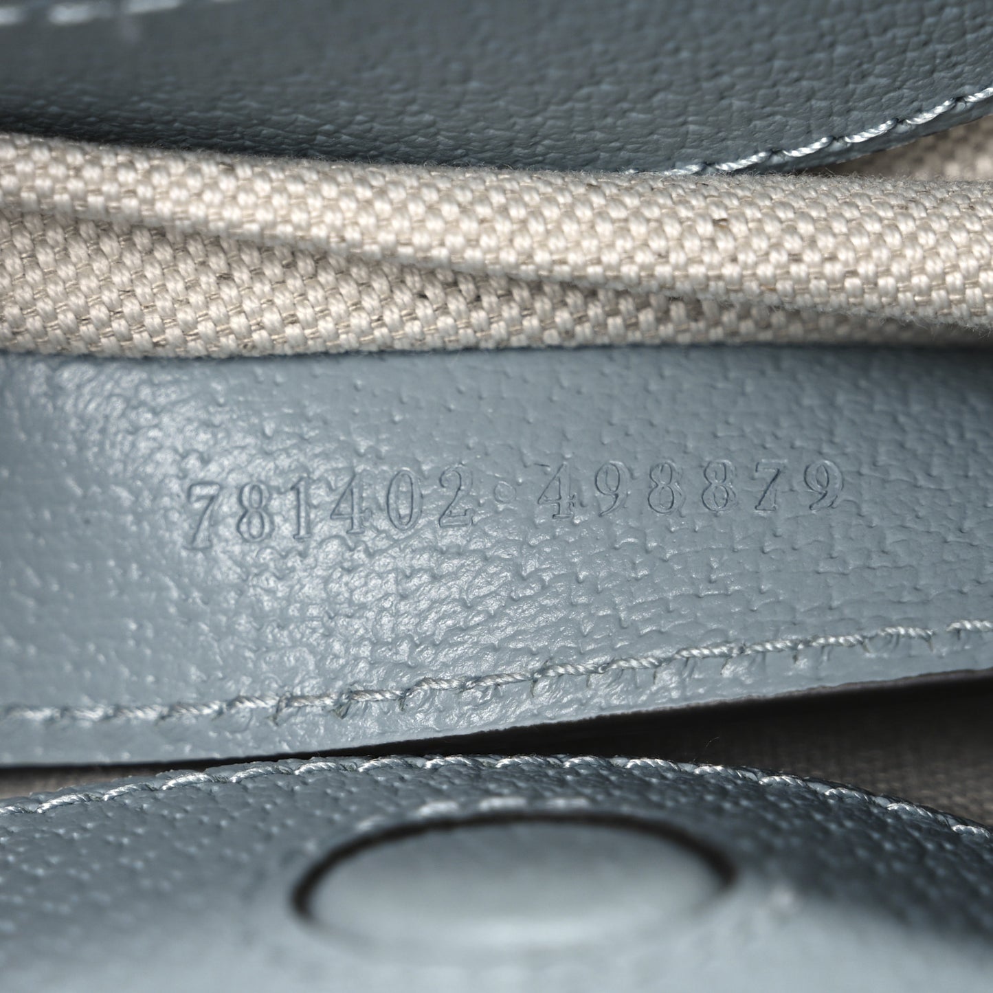 GG Supreme Monogram Textured Dollar Calfskin Web Small Ophidia Bucket Shoulder Bag Dusty Blue