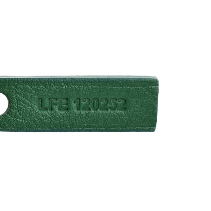 Goyard Goyardine Reversible Mini Anjou Green 11 of 17