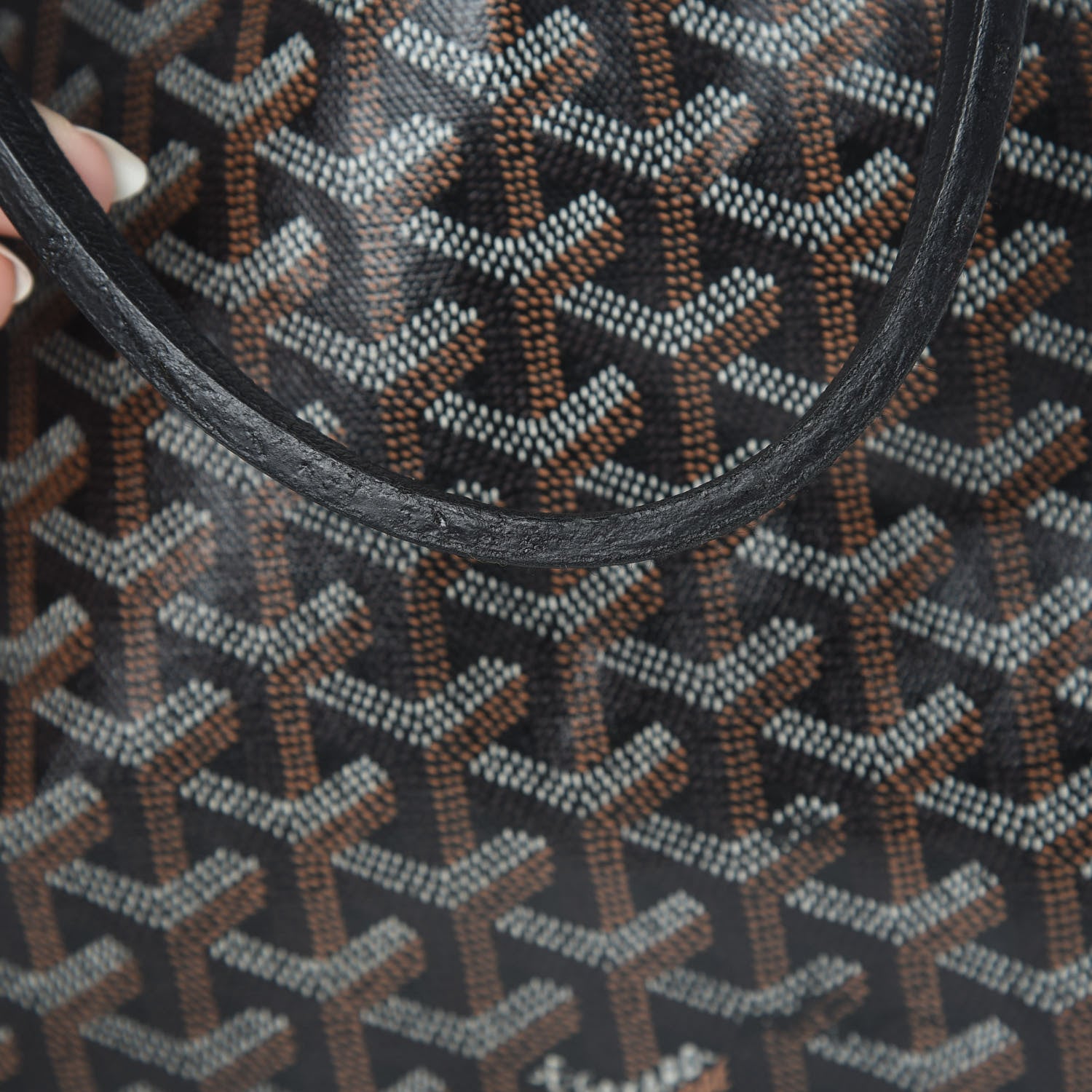 Goyard Goyardine Saint Louis PM Black 14 of 15