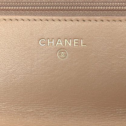 Chanel Goatskin Quilted Chanel 19 Wallet On Chain WOC Beige 5 of 10