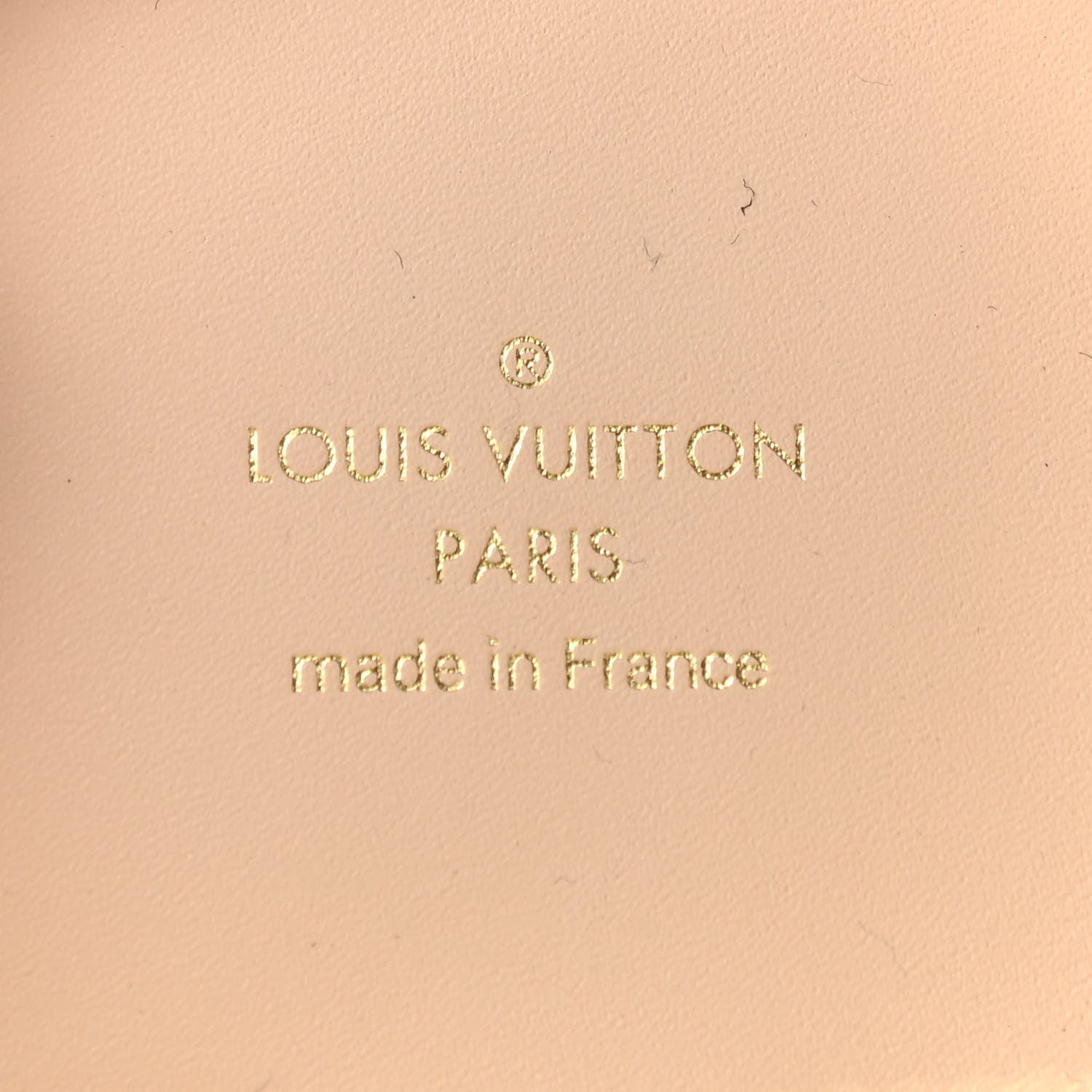 Louis Vuitton Monogram Horizon Wireless Earphones Case 4 of 7
