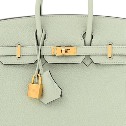 Hermes Togo Birkin 25 Gris Neve 8 of 11