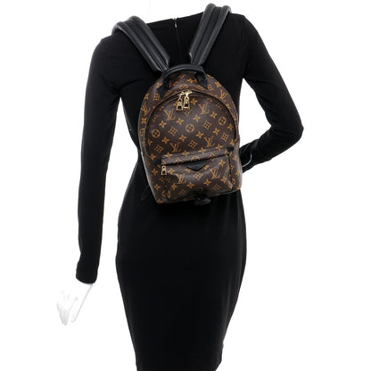 Louis Vuitton Monogram Palm Springs Backpack PM 2 of 7