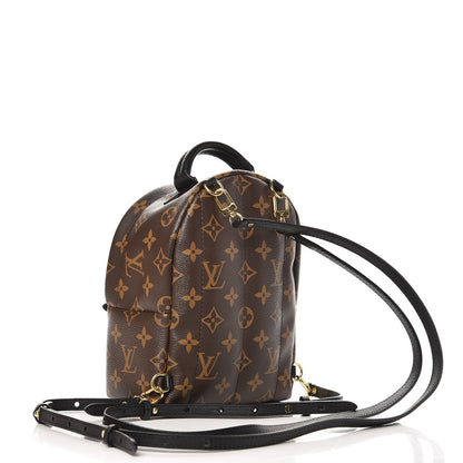 Louis Vuitton Monogram Palm Springs Backpack Mini 3 of 9
