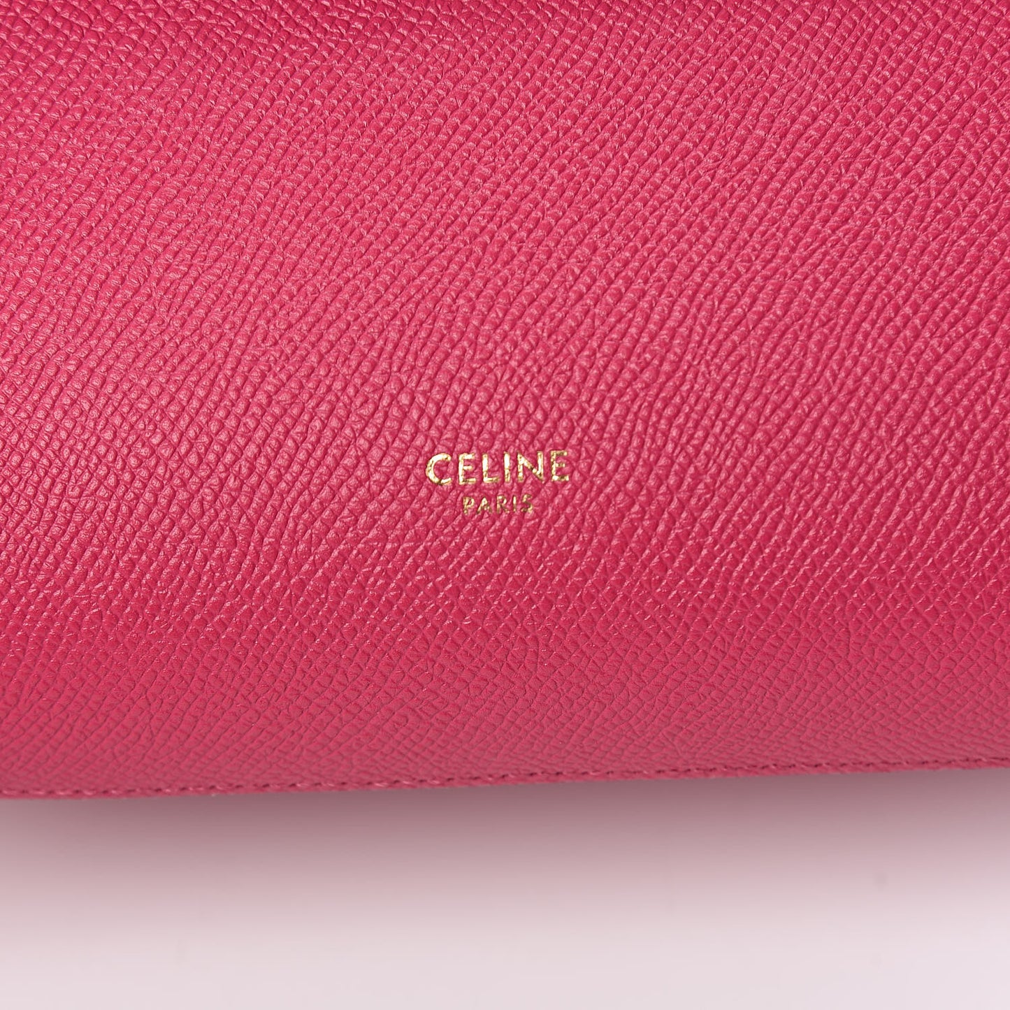 Grained Calfskin Nano Belt Bag Pink
