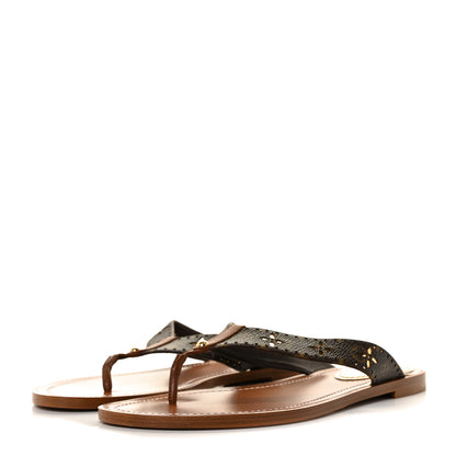 Louis Vuitton Monogram Sunny Flat Thong Sandals 39 Brown 3 of 8