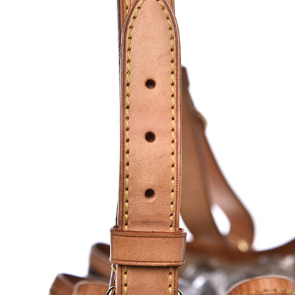 Louis Vuitton Monogram Rayures Noe 18 of 19