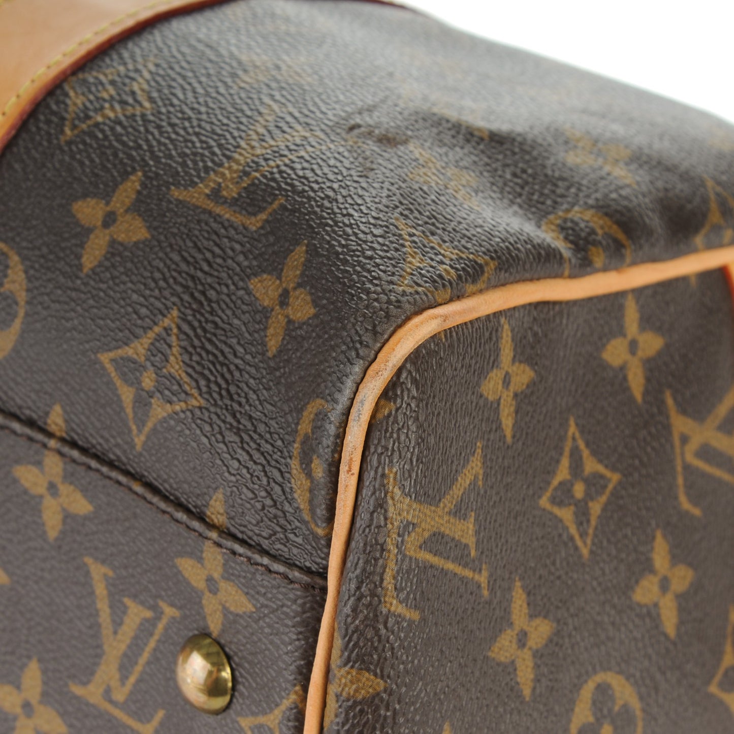 Monogram Carryall