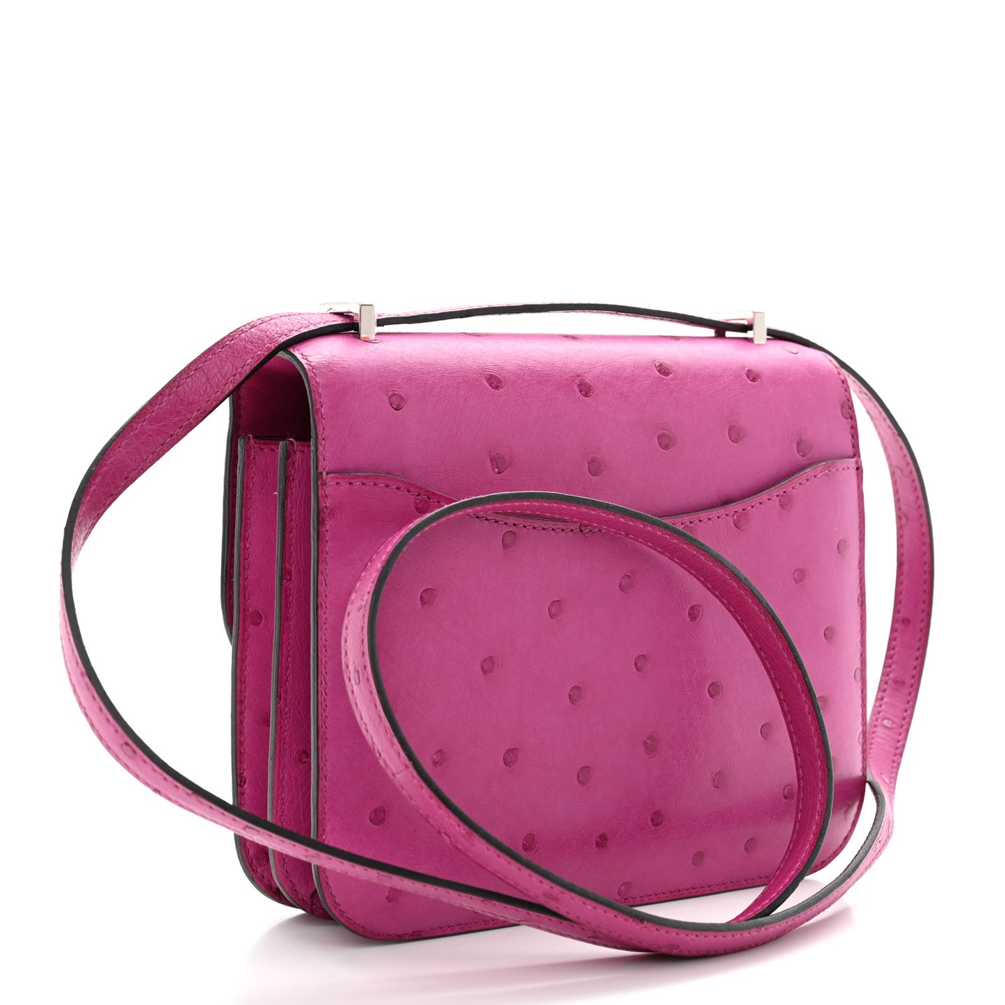 Ostrich Constance 18 Rose Pourpre