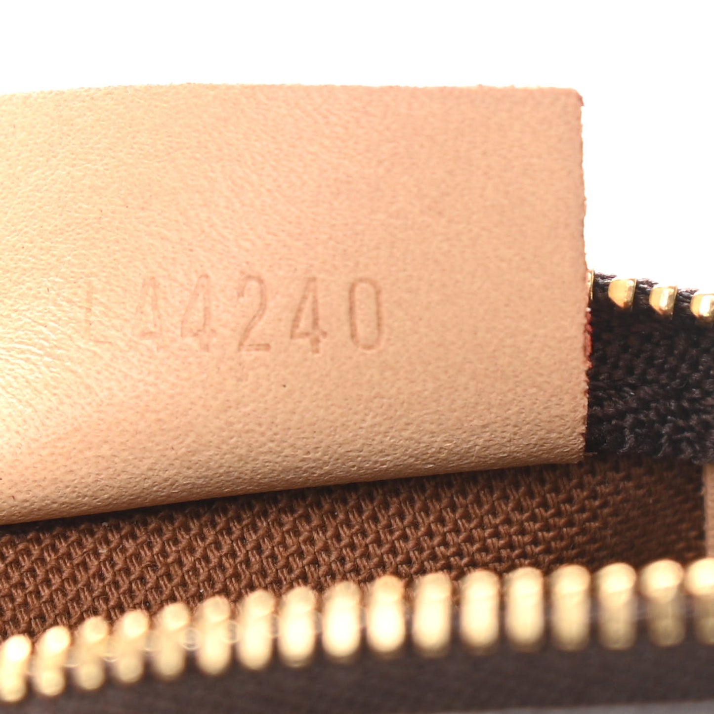 Monogram Nano Speedy