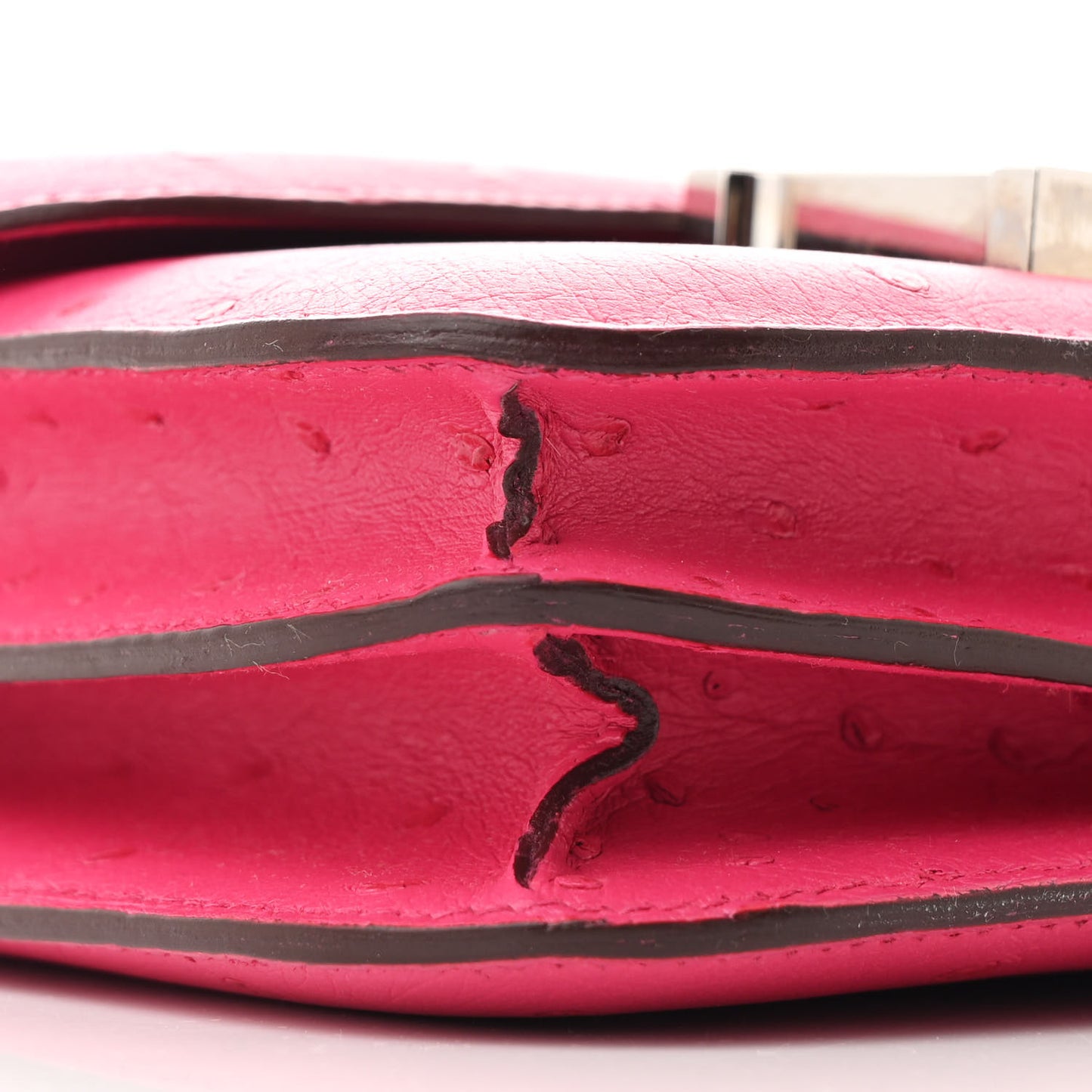 Ostrich Constance 18 Rose Shocking