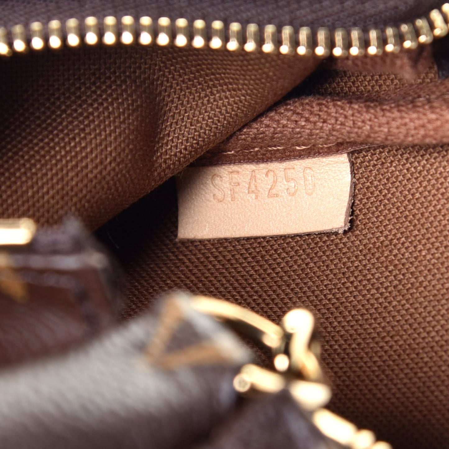 Monogram Mini Pochette Accessories