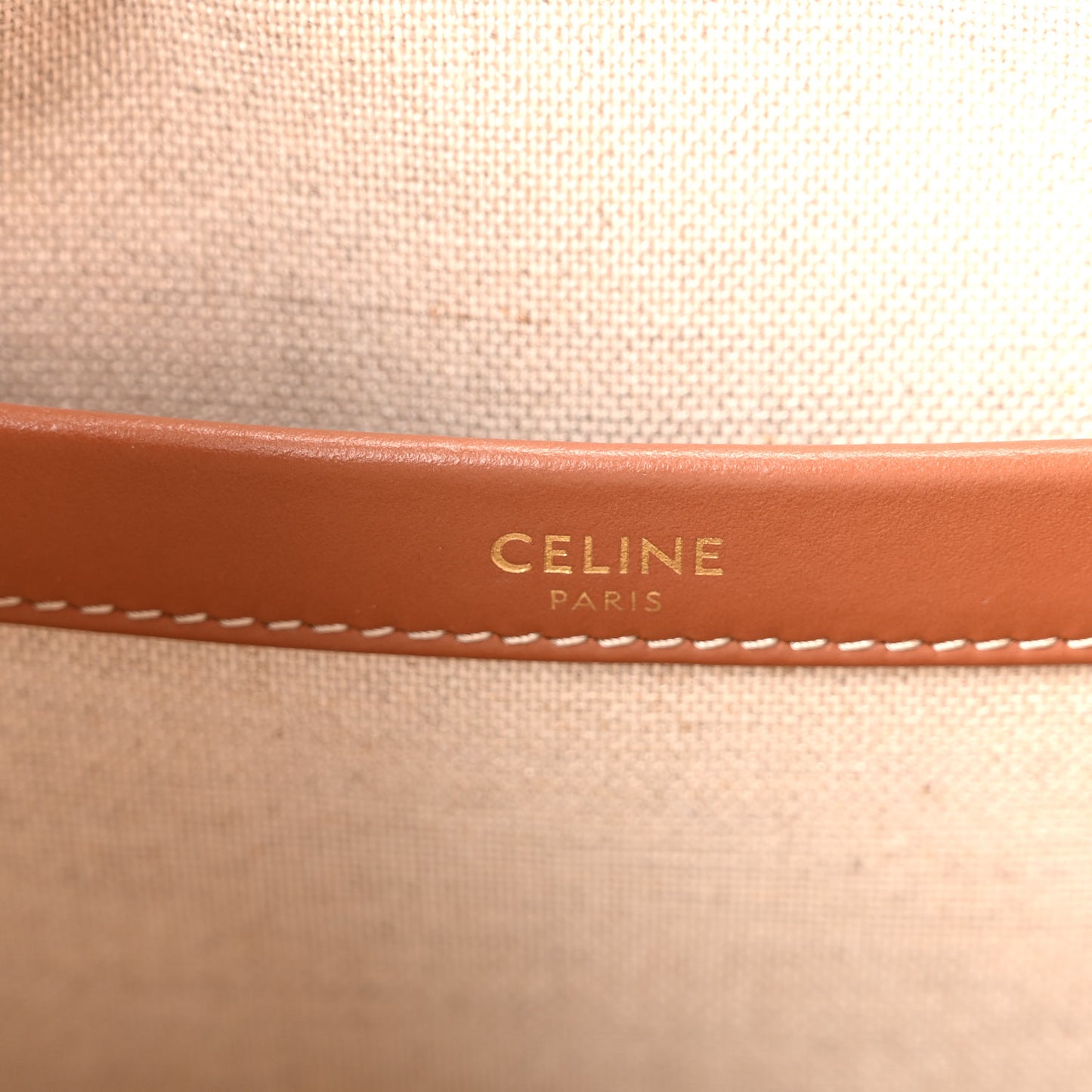 Canvas Calfskin Striped Triomphe Small Cabas Thais Multicolor