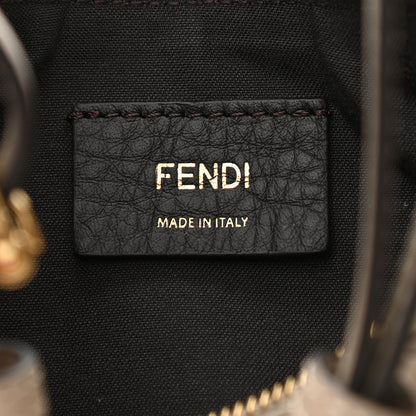 Fendi Vitello Grace Matte Small Fendigraphy Hobo Bag Nuvola 5 of 9