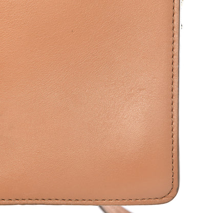 Chloe Suede Calfskin Small Faye Shoulder Bag Blushy Pink 11 of 19