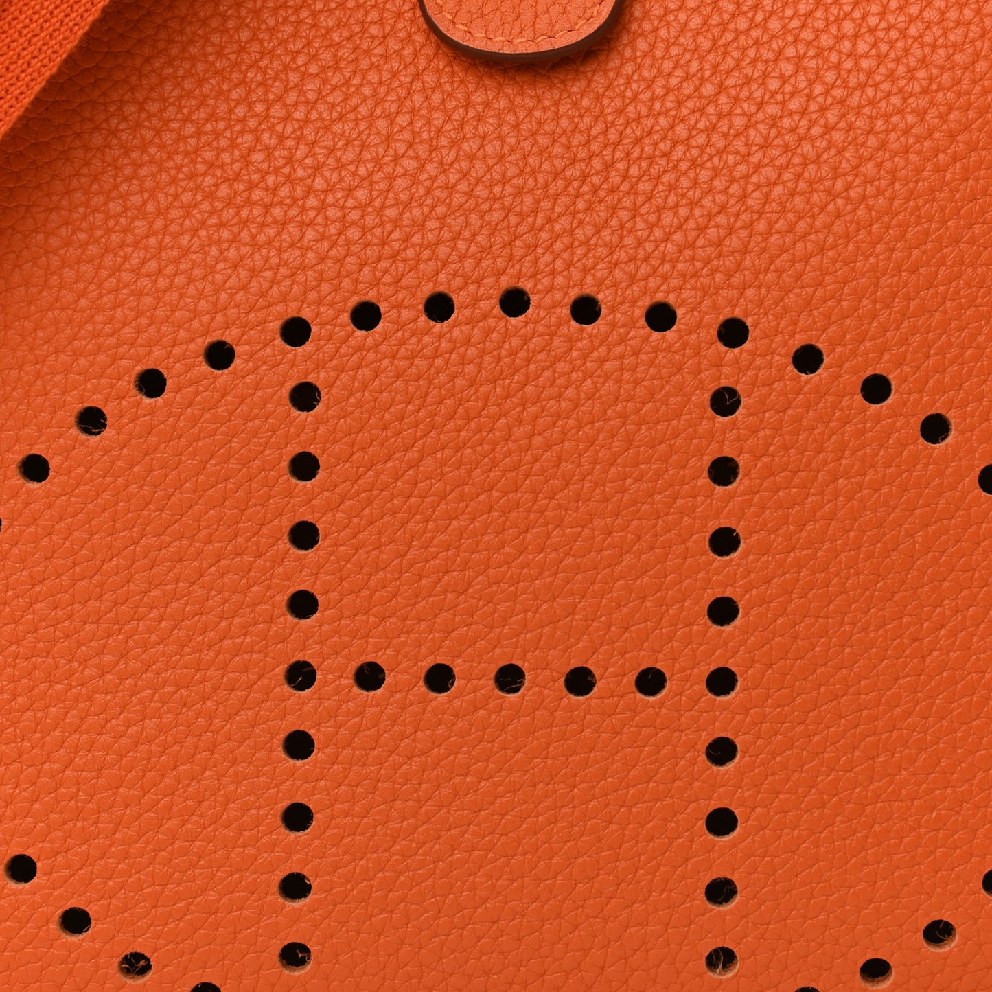 Taurillon Clemence Evelyne III PM Orange