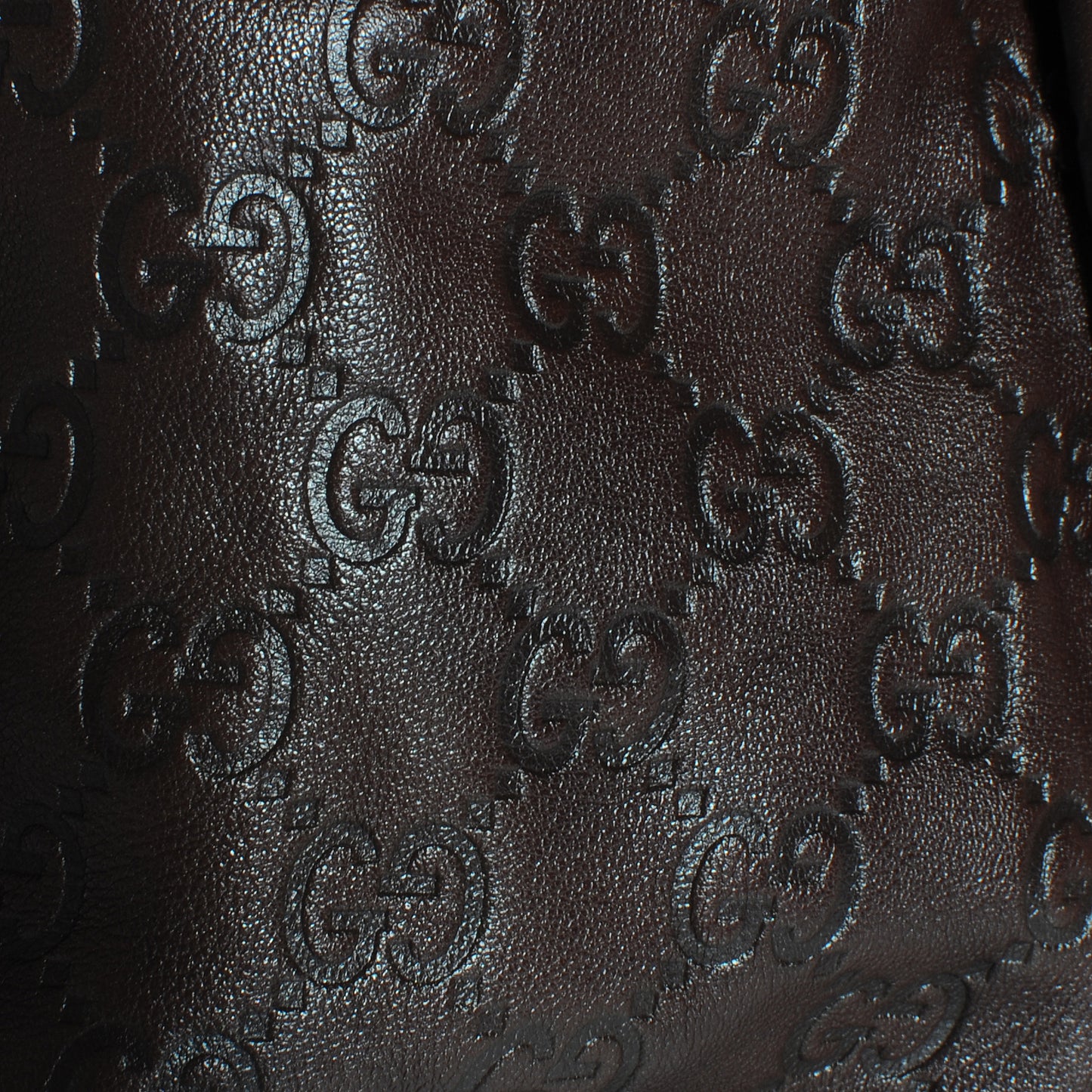 Guccissima Small Hysteria Chocolate
