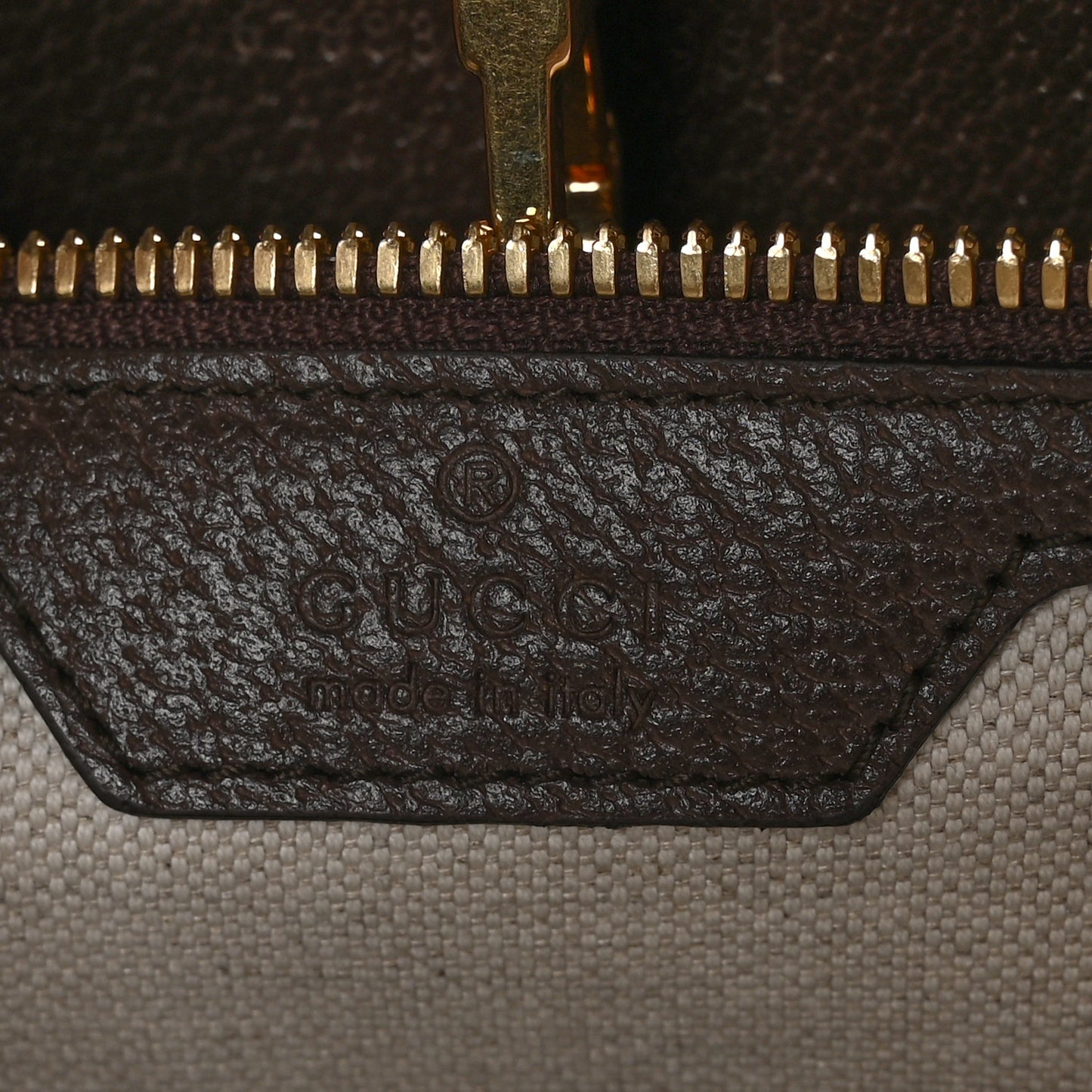 Monogram Jumbo GG Textured Dollar Calfskin Web Tote Bag Camel Ebony New Acero