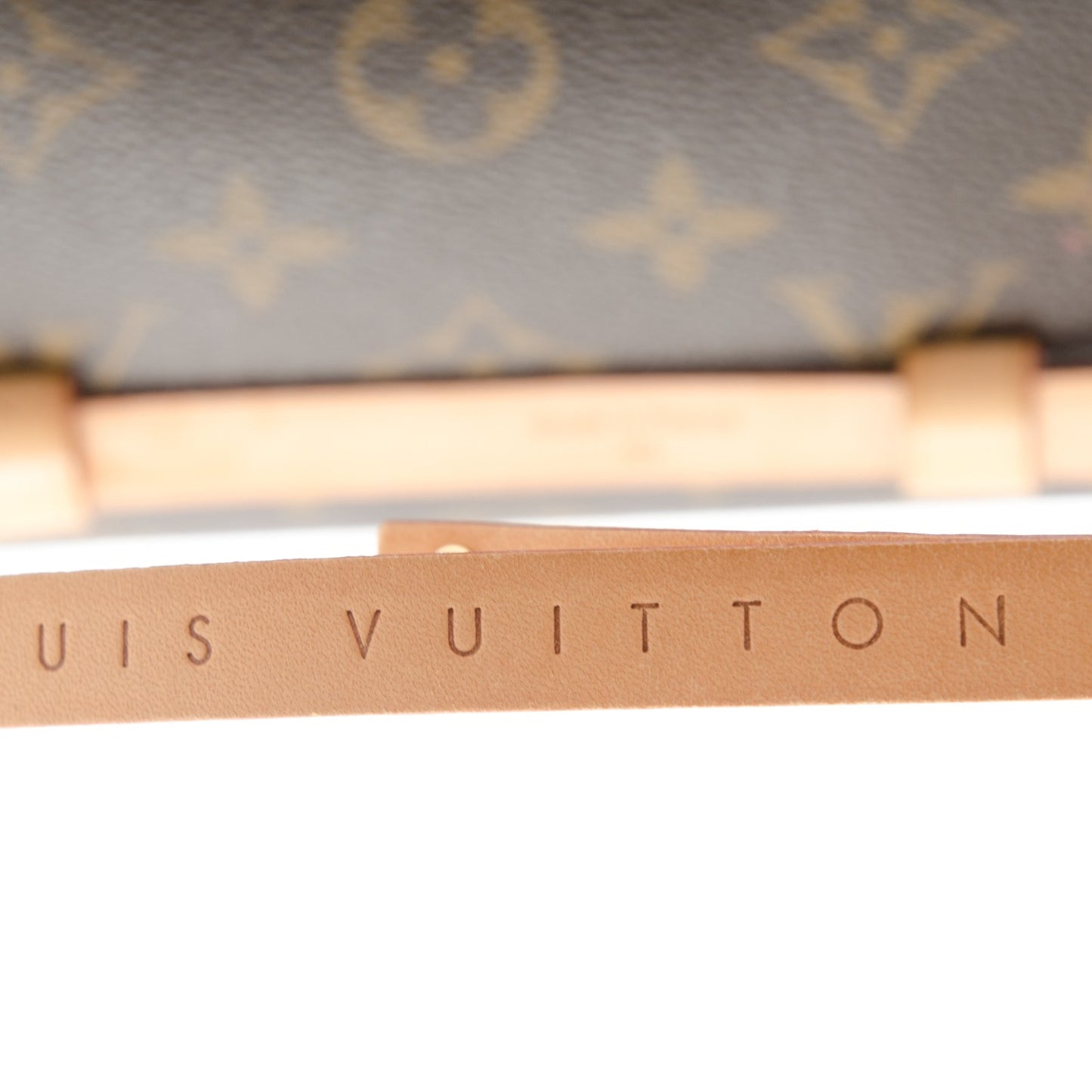 Monogram Pochette Florentine XS