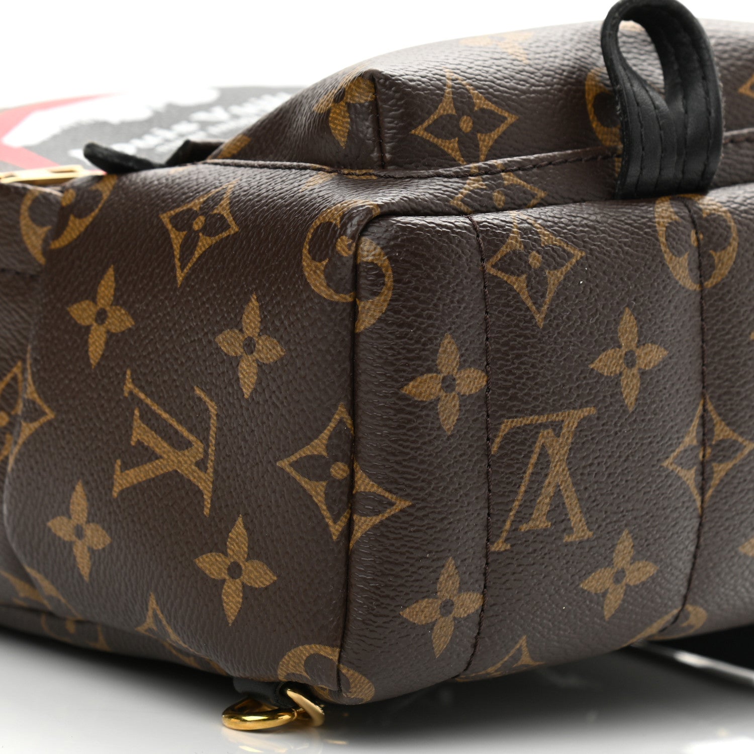 Louis Vuitton Monogram World Tour Palm Springs Backpack Mini 9 of 15