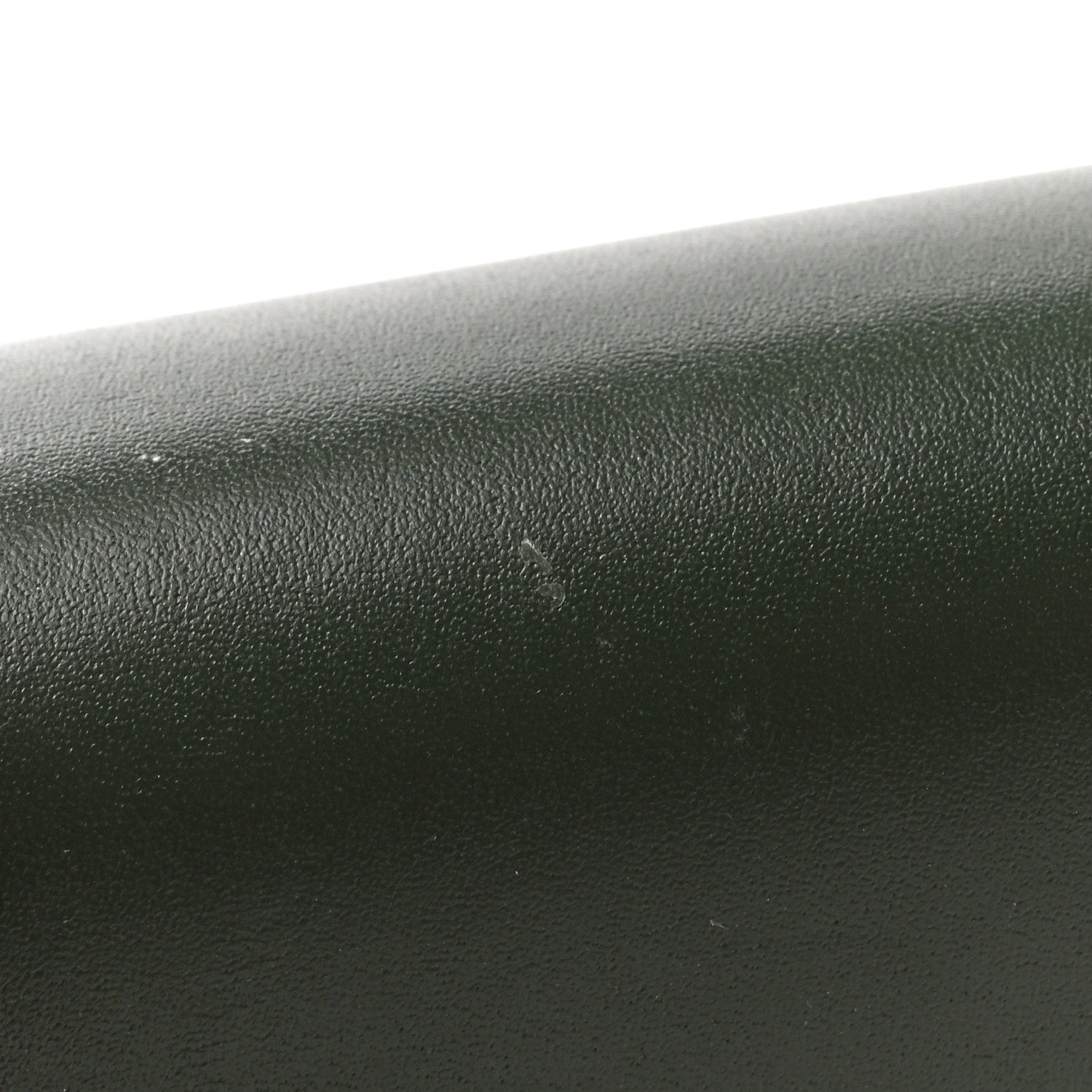 Loewe X SUNA FUJITA Satin Calfskin Panda Compact Zip Wallet Bottle Green 9 of 9