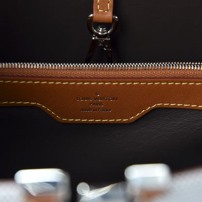 Louis Vuitton Toile Capucines MM Mateo 7 of 8