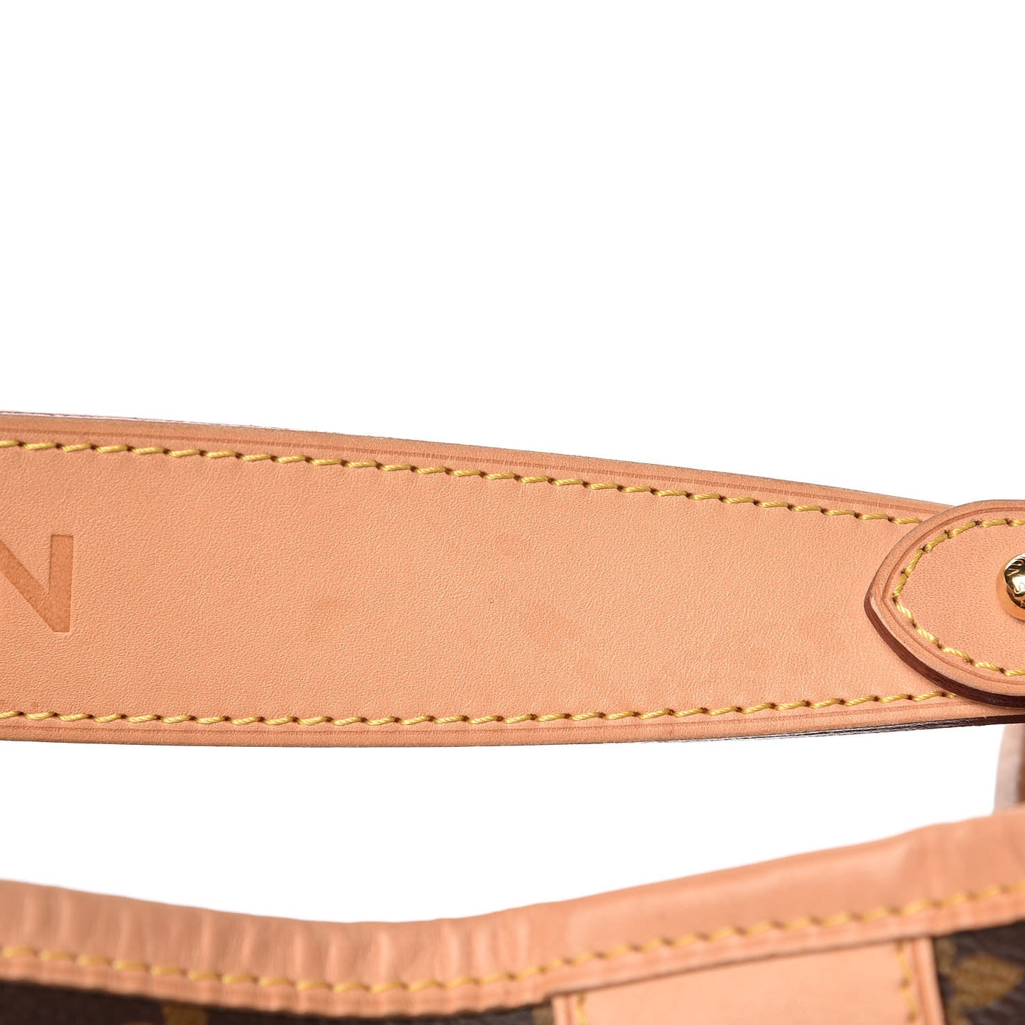 Monogram Delightful MM