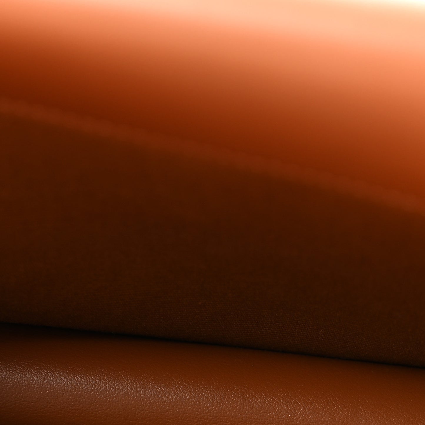 Triomphe Canvas Lambskin Wallet On Strap Tan