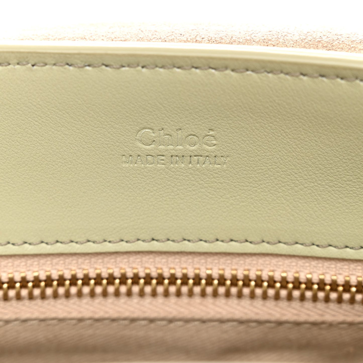 Calfskin Mini Tess Day Bag Light Eucalyptus