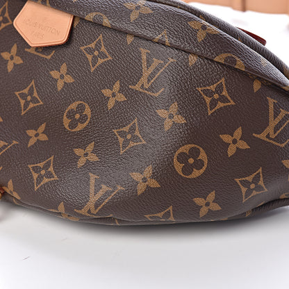 Louis Vuitton Monogram Bumbag 9 of 10
