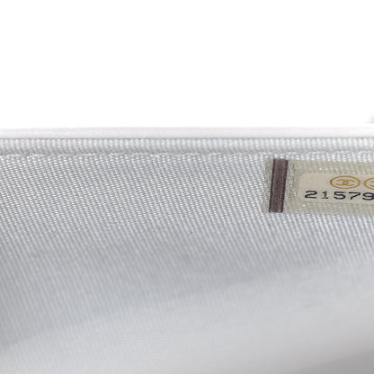 Chanel Metallic Galuchat Stingray Lambskin Boy Wallet On Chain WOC Silver 8 of 12