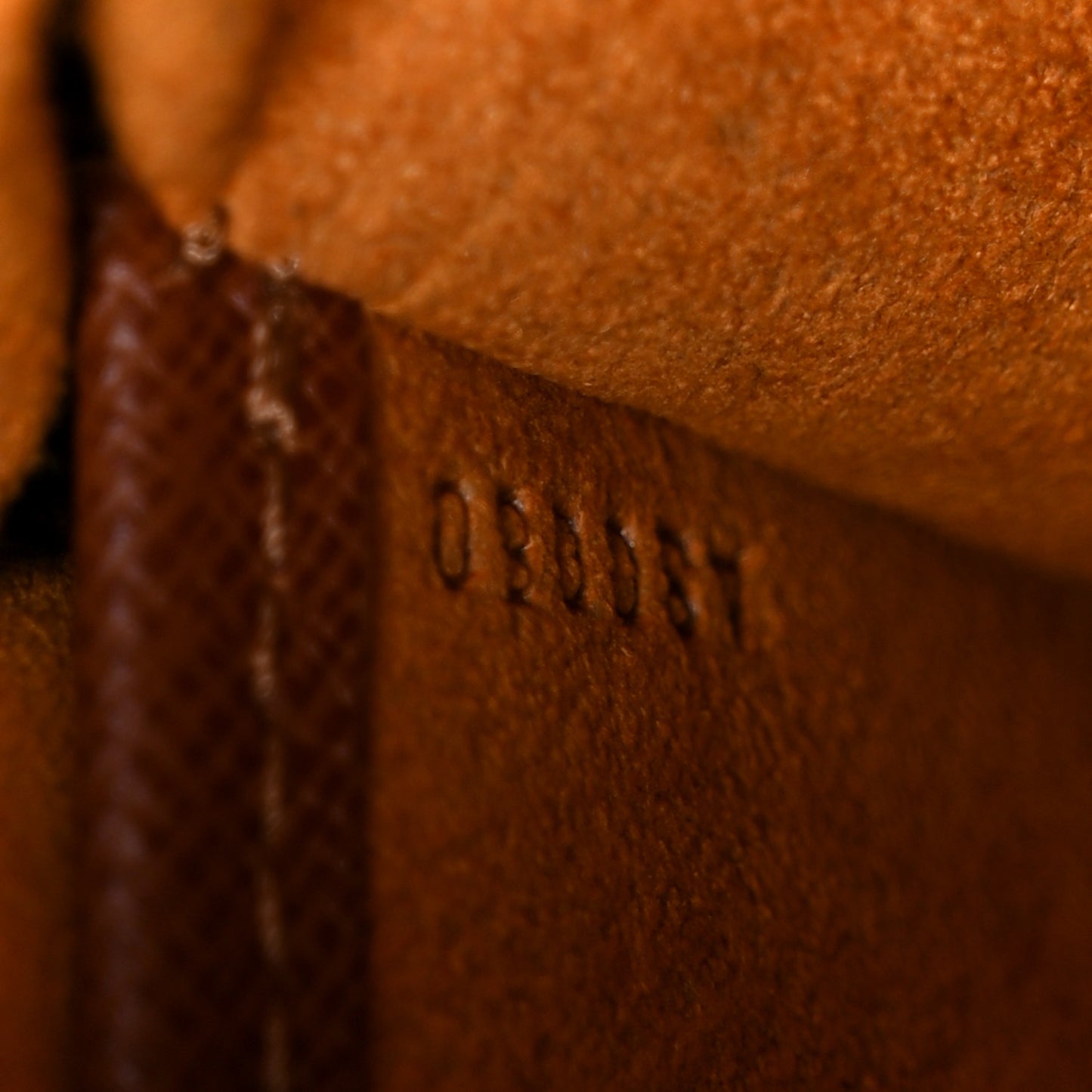 Monogram Musette Salsa