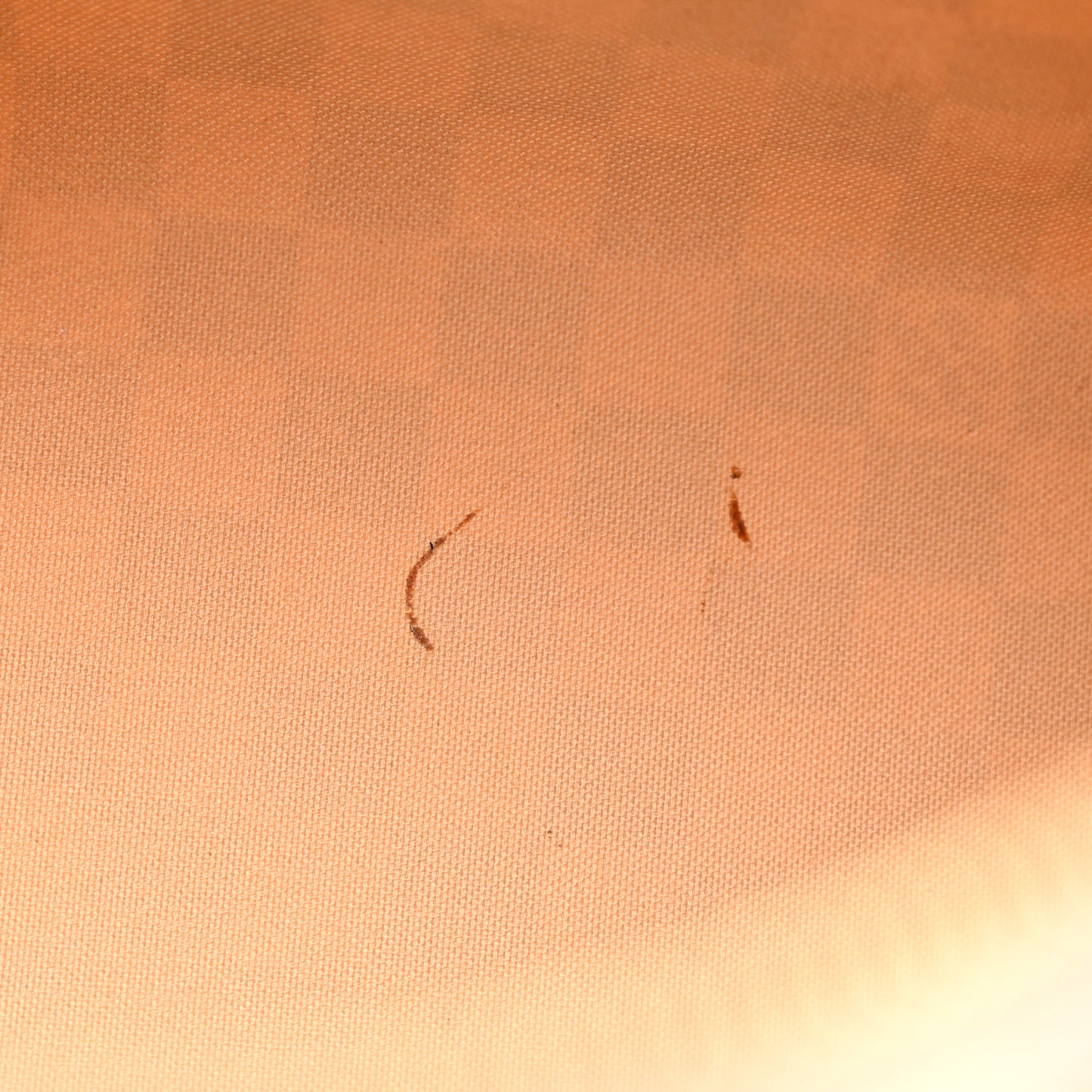 Damier Azur Speedy 30